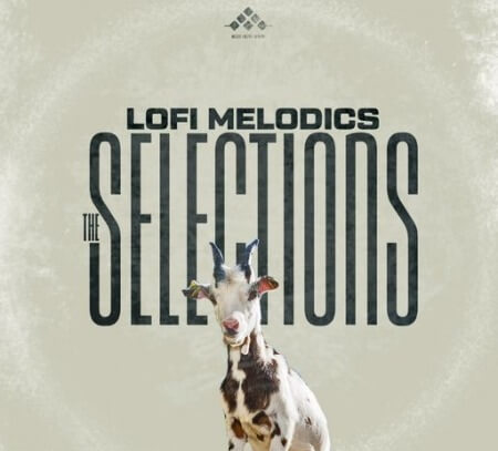 MSXII Lofi Melodics Selections WAV